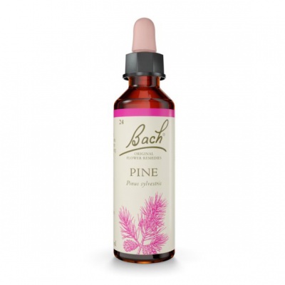 Bach Pine 20ml